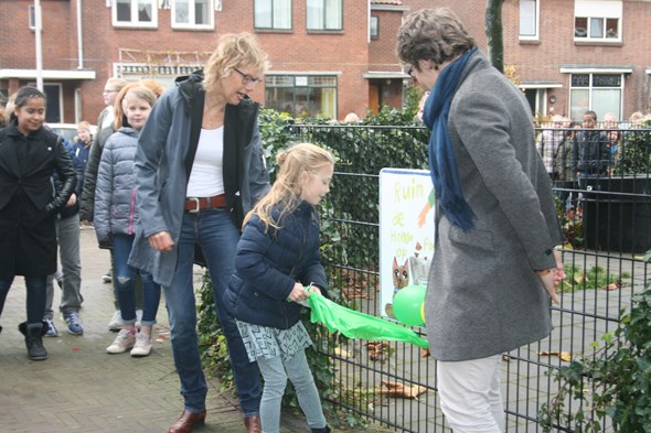 Verkeersonthulling 5